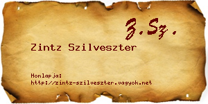 Zintz Szilveszter névjegykártya
